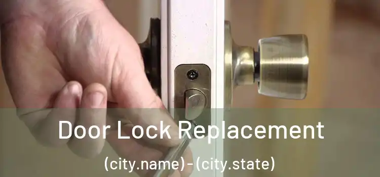 Door Lock Replacement (city.name) - (city.state)